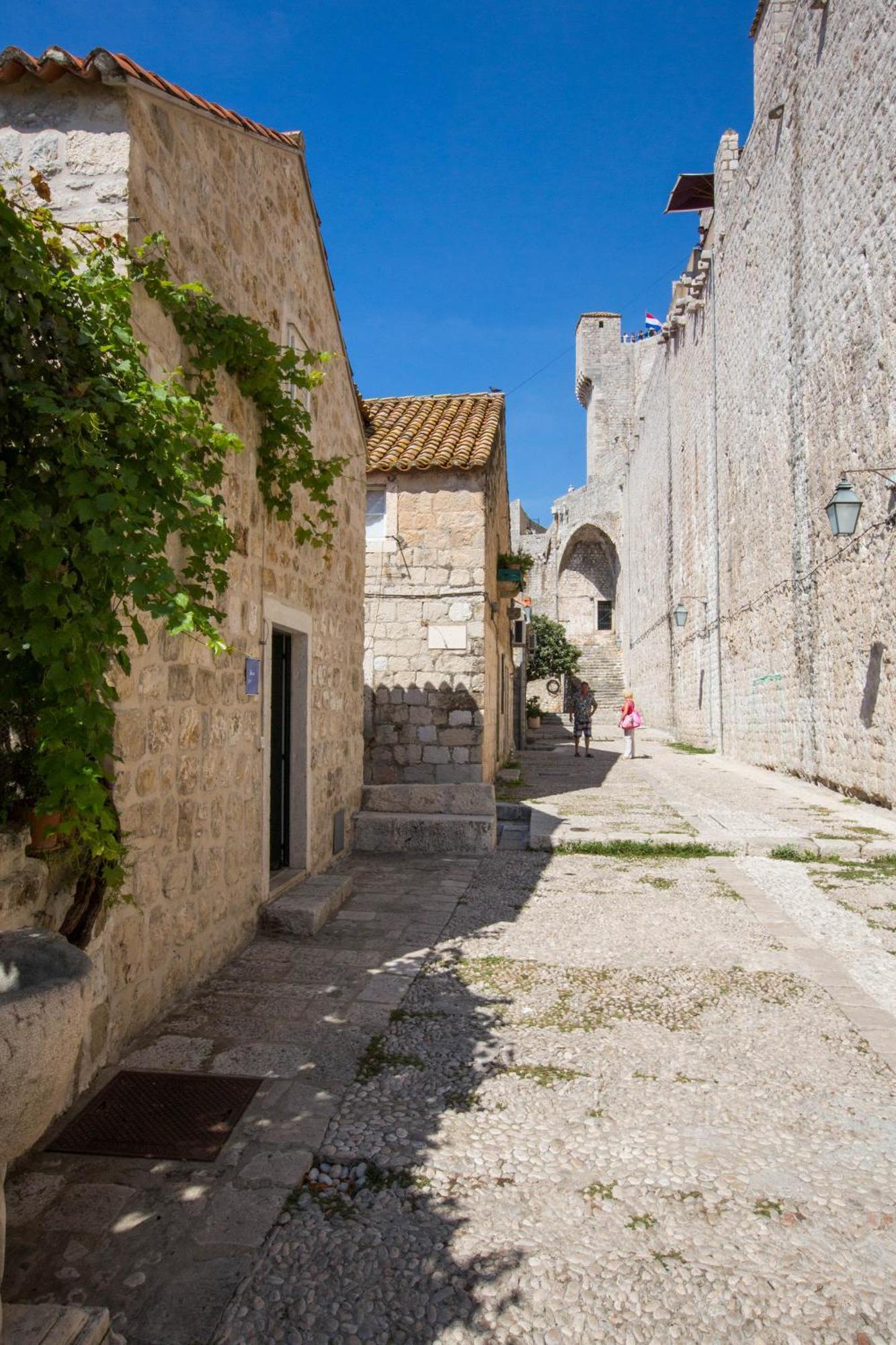 Studio Sunny Garden Dubrovnik Exteriör bild